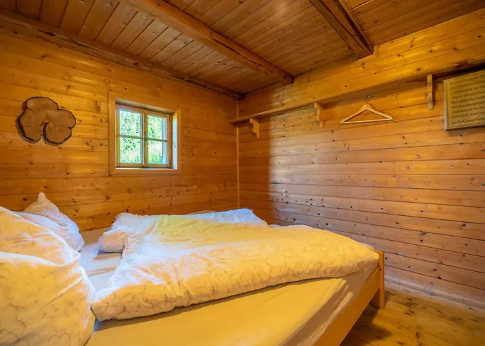 Feriehus Eagga-niederleger Alm Alpbach