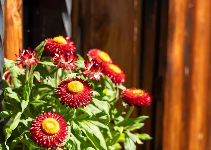 Eagga-niederleger Alm Alpbach