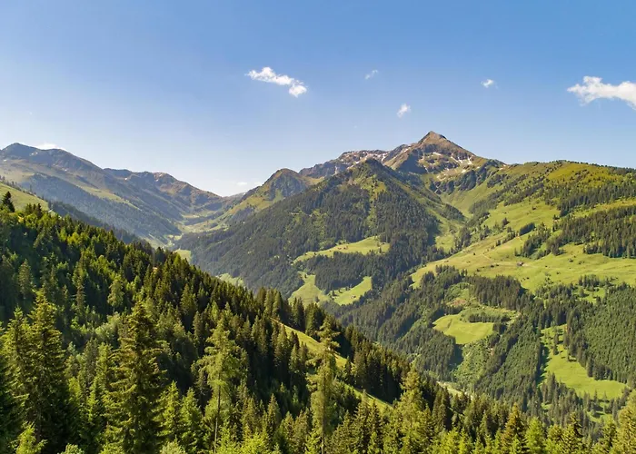 Eagga-niederleger Alm Holiday home