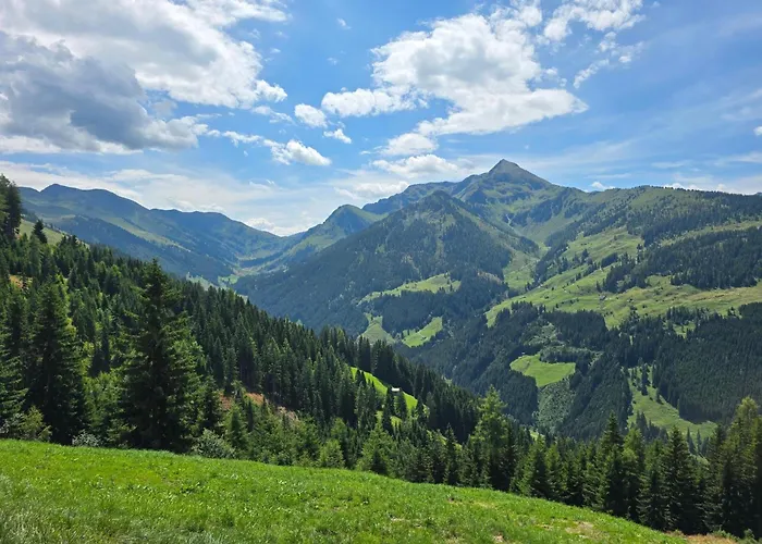 Feriehus Eagga-niederleger Alm *
