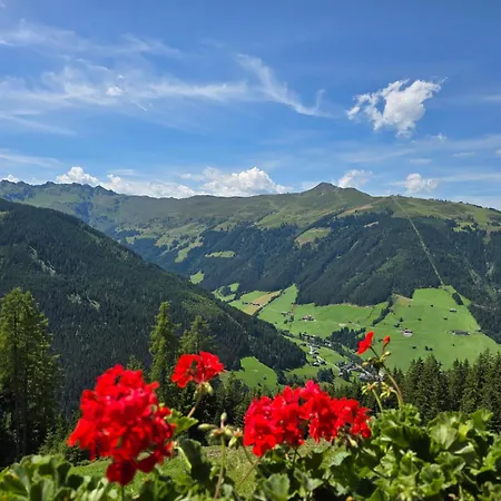 Semesterbostad Eagga-niederleger Alm