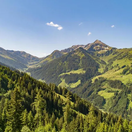Eagga-niederleger Alm *
