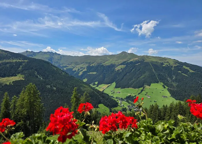 بيت للعطل Eagga-niederleger Alm