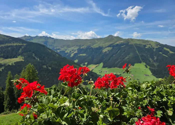 Eagga-niederleger Alm ألباخ