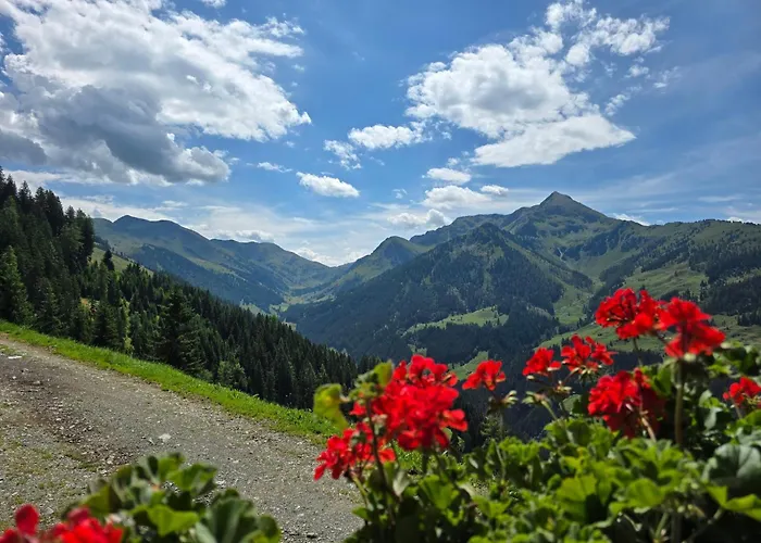 بيت للعطل Eagga-niederleger Alm